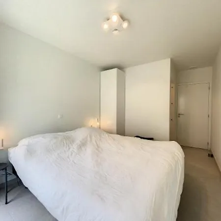 'asterias' * De Panne